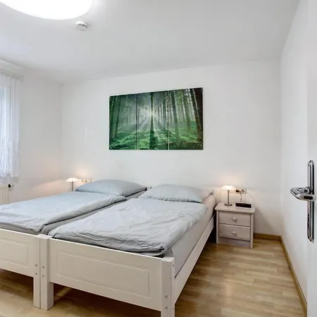 Ahorn Waldshut-Tiengen